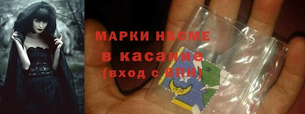 индика Алексин